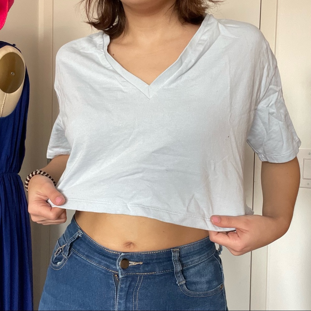 Zara crop top